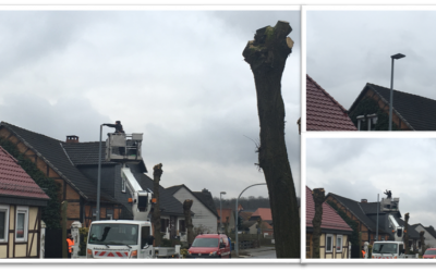 Umrüstung auf LED Leuchten in Danndorf