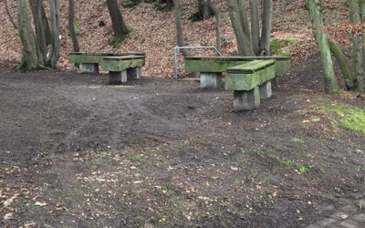 Frühjahrsputz an der Waldquelle 2019