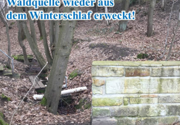 Arbeitseinsatz an der Waldquelle und am Dreihorst