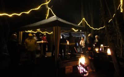 Ankündigung: Weihnachtsmarkt-Fahrt zum Landgestüt Celle